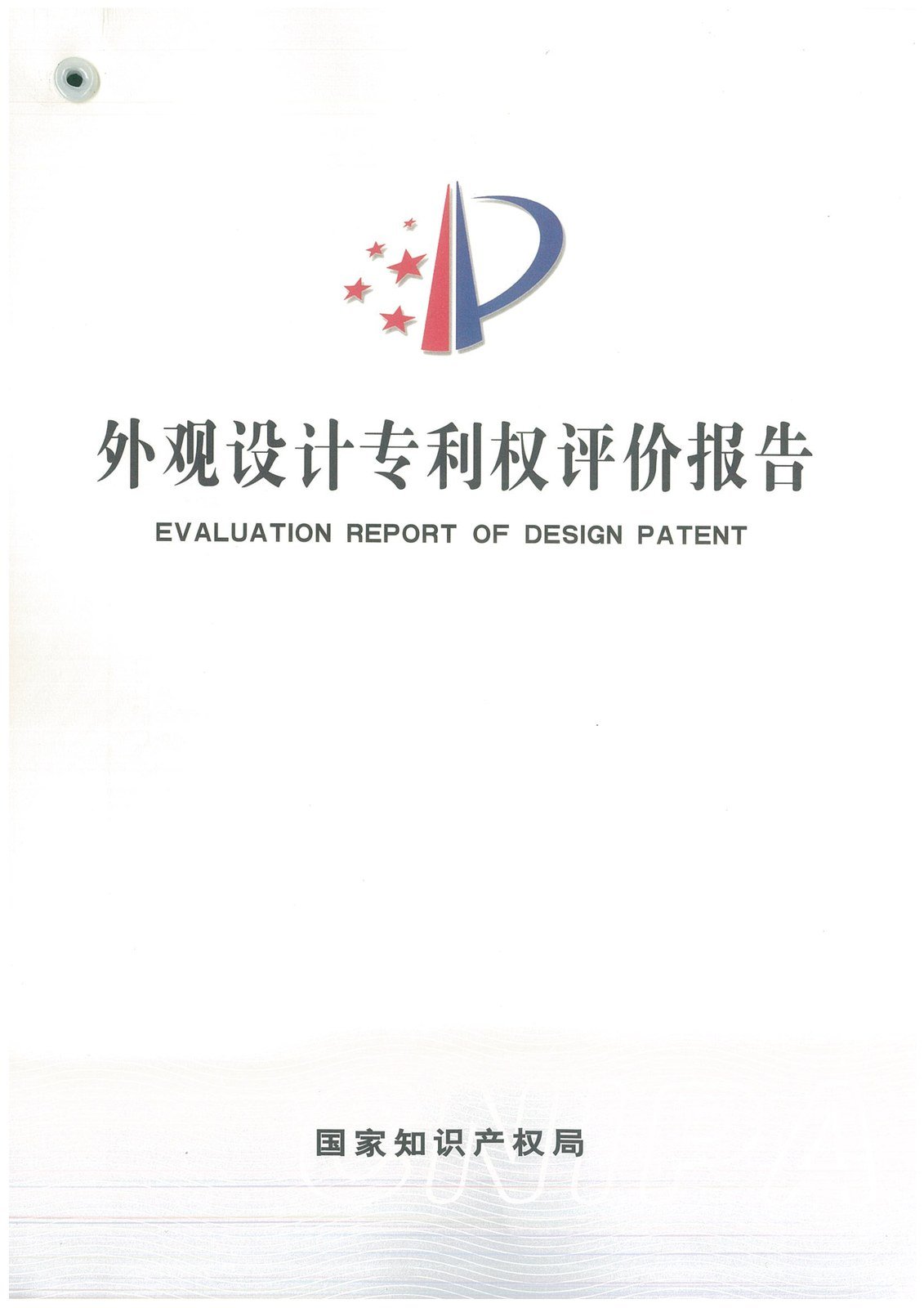 CNIPA National Design Patent Certificate for Wing-Sleeve TUTU Gown