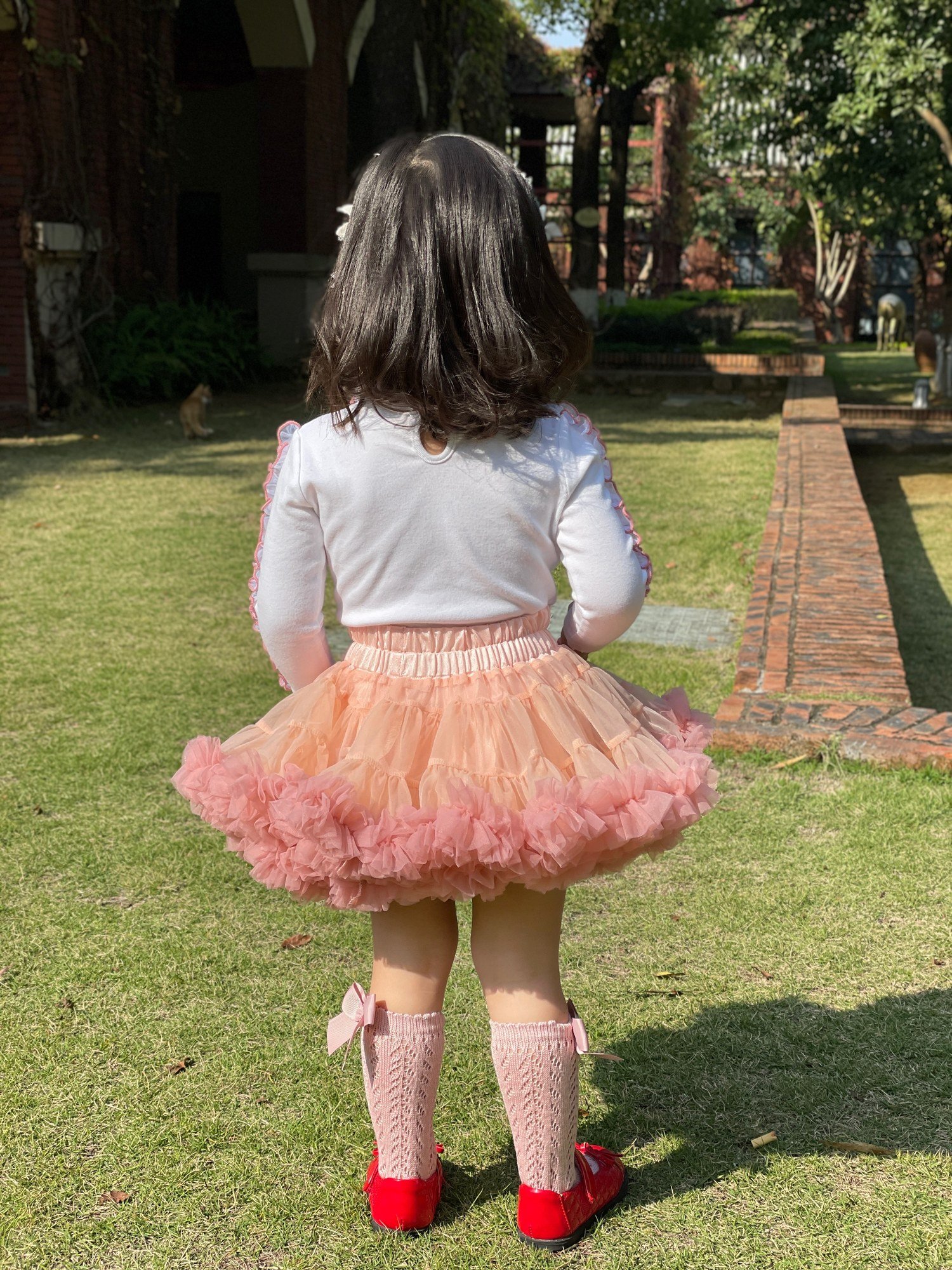 Multi-Layer Fluffy Pettiskirt (SKU: Y6207) - View 5
