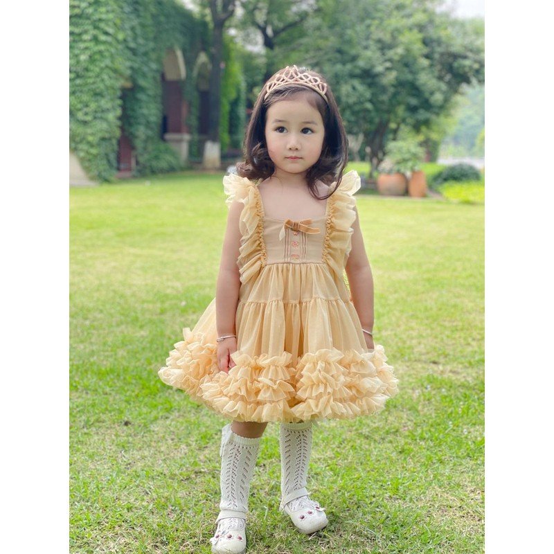Multi-Layer Fluffy Pettiskirt (SKU: 24YD045)