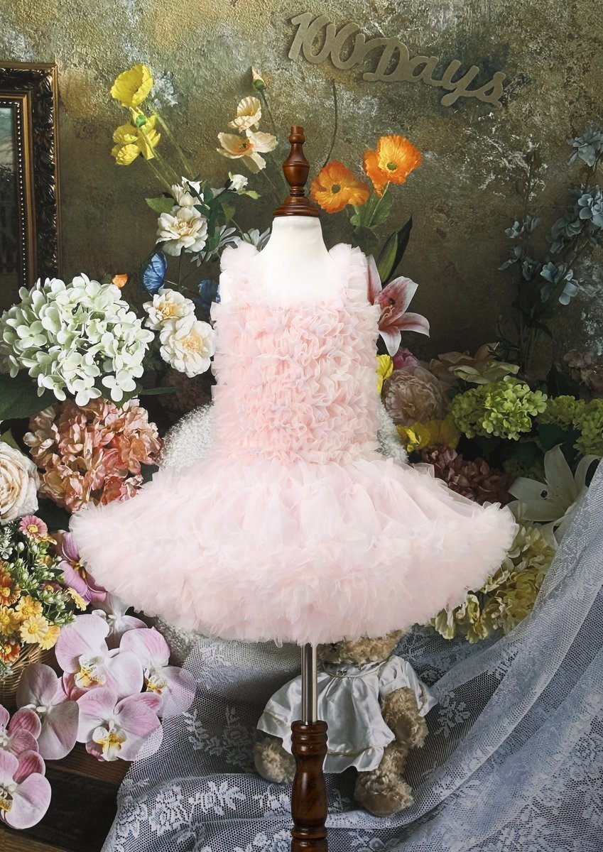Multi-Layer Fluffy Pettiskirt (SKU: 25YD579)
