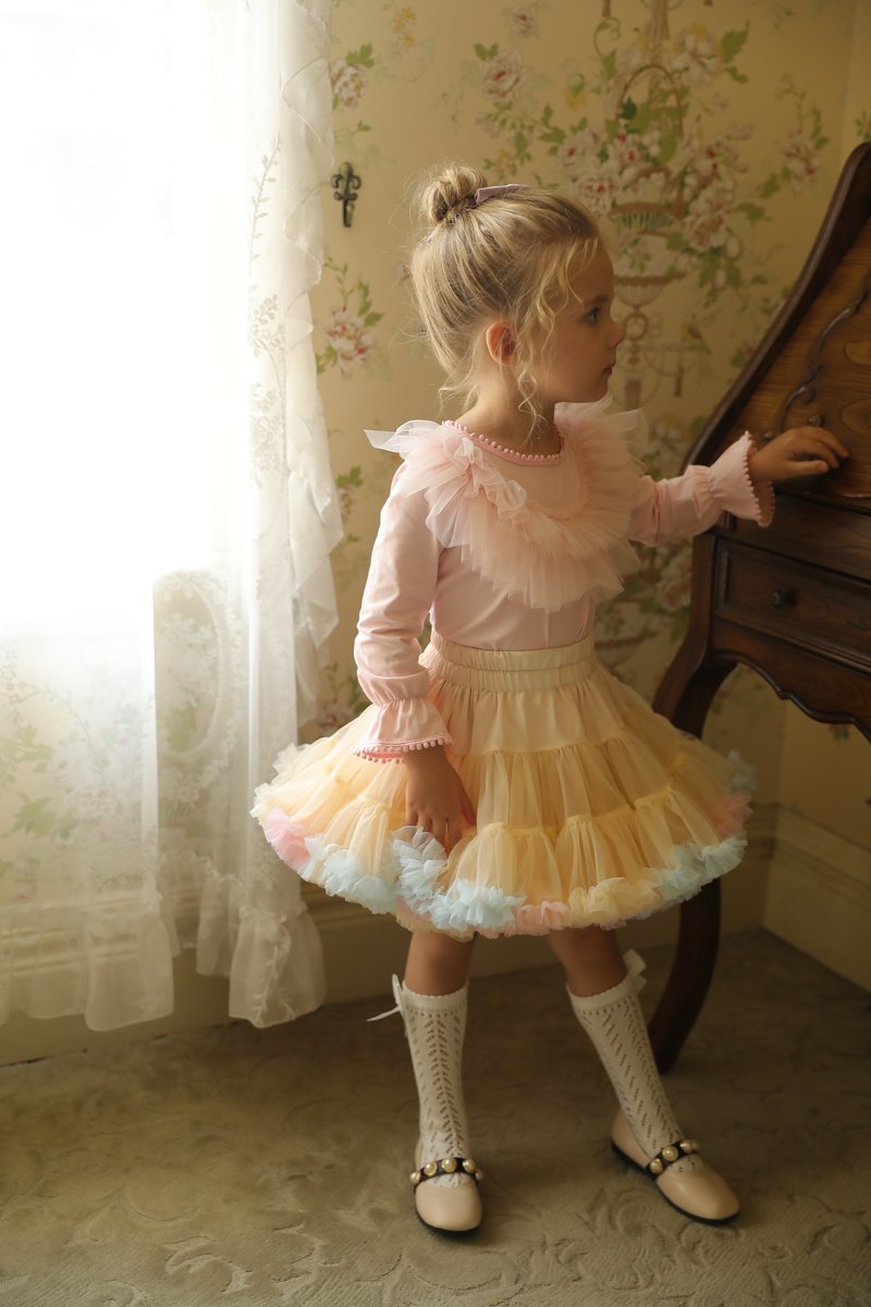Signature Rainbow Multi-Layer Tutu (SKU: 9699)